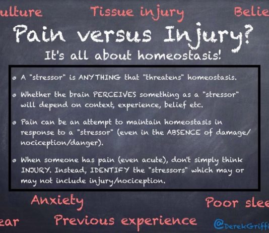 Pain in runners: Why do I hurt? – by Derek Griffin
