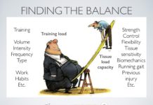 Balancing training load and tissue capacity