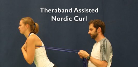 Hamstring and posterior chain exercises