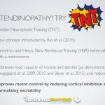 Tendinopathy? Try TNT! A new concept in treating tendons