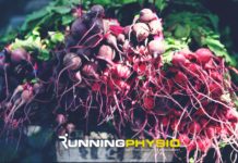 Tendinopathy, diet and gelatin supplementation