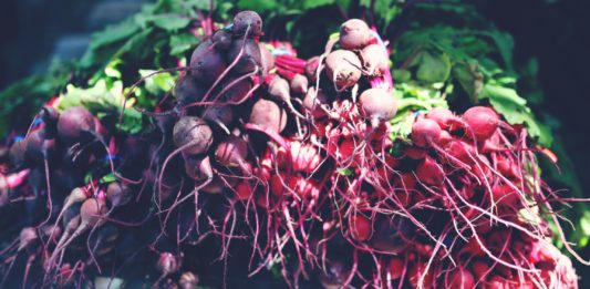 Tendinopathy, diet and gelatin supplementation