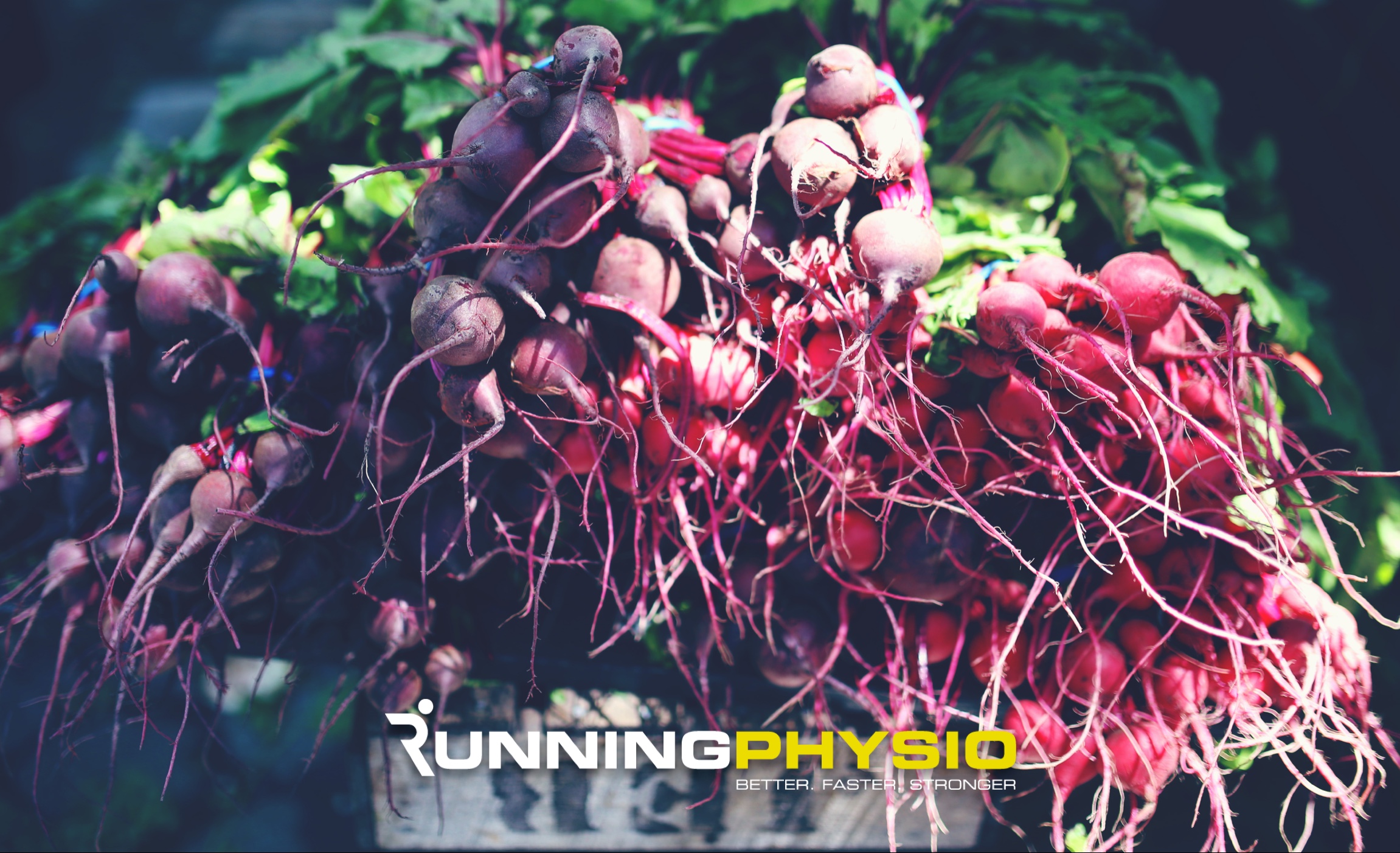 Tendinopathy, diet and gelatin supplementation