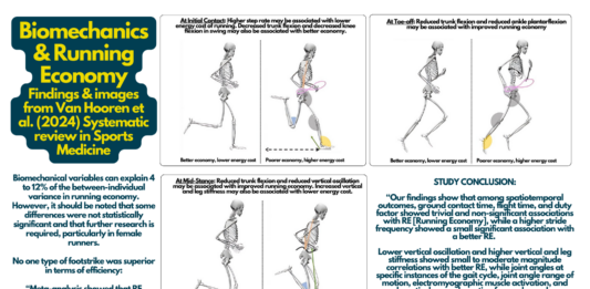 What’s the most efficient way to run?